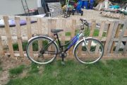 ladies bike