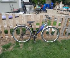 ladies bike