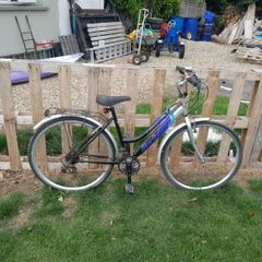ladies bike
