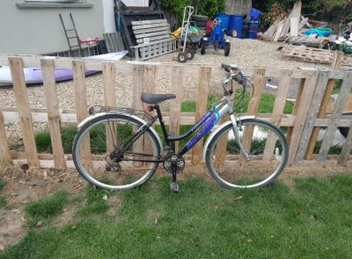 ladies bike