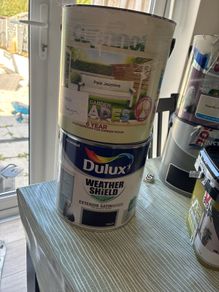 paint