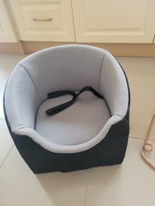 Dog car seat