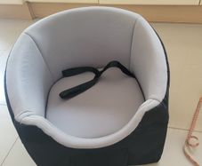 Dog car seat