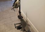 AOVOPRO ES80 Electric Scooter- Good Condition