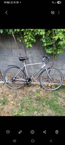 Raleigh Pioneer Men's bike
