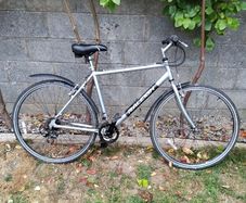 Raleigh Pioneer Men's bike