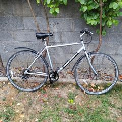Raleigh Pioneer Men's bike