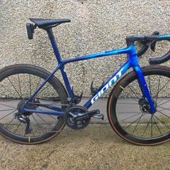 Giant Tcr Advanced Sl