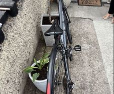 Trek Ladies Hybrid