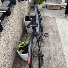 Trek Ladies Hybrid