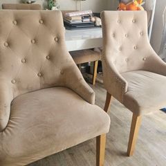 Dinning room chairs