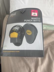 punch mitts