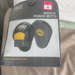 punch mitts