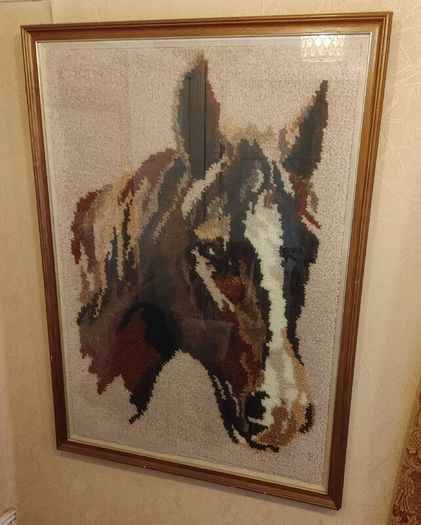 horse picture