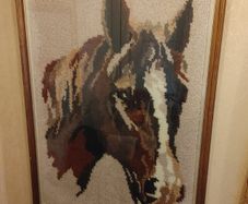 horse picture