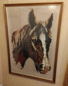 horse picture