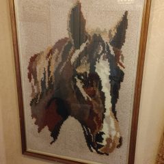 horse picture