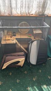 Rodent Cage