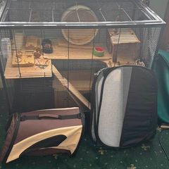 Rodent Cage