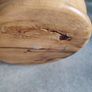 Rare find  Spalted Tamarind Wood Bowl Image 6