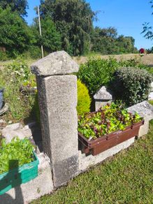 Granite pillars