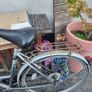 Bicycle Image 2