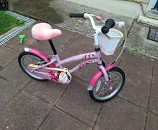 Apollo Wild Rose Girls Bike