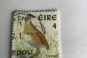 Irish stamp - Corncrake