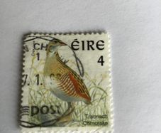 Irish stamp - Corncrake