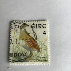 Irish stamp - Corncrake