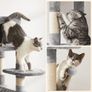 New Cat Tower Tree Play Area - FREE Delivery Image 7