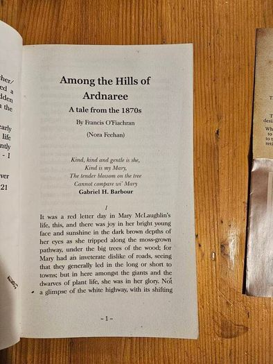 Among The Hills Of Ardnaree. By Nora Feehan. Plus A Leaflet On The Women Of Tyrrellspass. Paperback In Good Condition.  See Photos For Same.