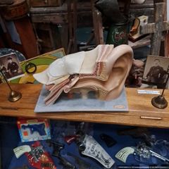 Vintage Human Ear Anatomical