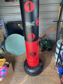 Everlast punch bag
