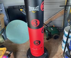 Everlast punch bag