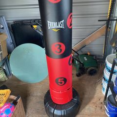Everlast punch bag