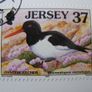 Jersey Mail Sea Birds and Waders Stamps Image 2