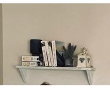 Shelf