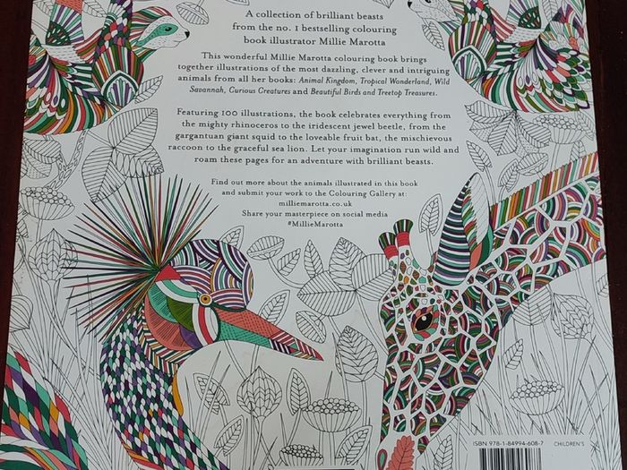Adult colouring book
