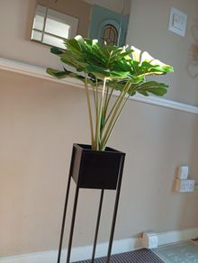 holder and fake plant