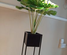 holder and fake plant