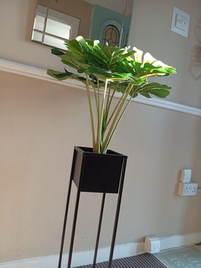 holder and fake plant