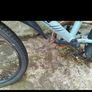 bikes Image 2