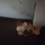 Fruit machine Image 6