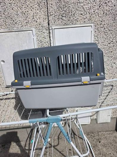dog carrier
