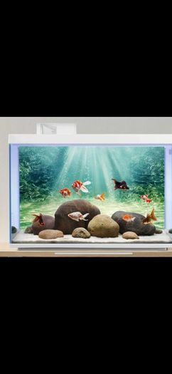 Fish Tank Background 100cm x 50cm