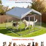 Large Outdoor Dog Kennel, 2 x 2 x 1.6 m Image 4