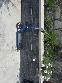 scooter boys