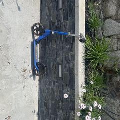 scooter boys