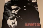 U2 - All I Want is You 7" Original Vinyl 1988 Island Records